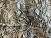 Вискоза шелк Бохо питон, бежево-коричневый (отрез 2,8 м) - интернет-магазин tkani-atlas.com.ua
