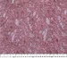 Гипюр французский цветочная композиция, фрезовый (отрез 1,8 м) - фото 5 - интернет-магазин tkani-atlas.com.ua