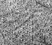 Креп шифон квітковий настрій, чорний на молочному - фото 3 - інтернет-магазин tkani-atlas.com.ua