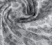 Трикотаж жаккард меланжевый леопард, серый с белым - фото 2 - интернет-магазин tkani-atlas.com.ua