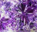 Атлас щільний квіткова фантазія, фіолетовий - фото 2 - інтернет-магазин tkani-atlas.com.ua