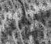 Вовна пальтова акрілік ялинка, сірий - фото 2 - інтернет-магазин tkani-atlas.com.ua