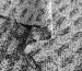Вовна пальтова акрілік ялинка, сірий - фото 3 - інтернет-магазин tkani-atlas.com.ua