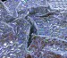 Трикотаж масло голограмма кубическая, серебро - фото 2 - интернет-магазин tkani-atlas.com.ua