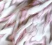 Шифон зигзаг, розовый с бежевым - фото 2 - интернет-магазин tkani-atlas.com.ua