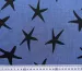 Джинсовая костюмка морские звезды, черный на джинсовом - фото 2 - интернет-магазин tkani-atlas.com.ua