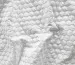 Плащевка строченая соты, белый - фото 2 - интернет-магазин tkani-atlas.com.ua