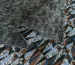 Трикотаж вискоза геометрическая абстракция, коралловый с синим - фото 3 - интернет-магазин tkani-atlas.com.ua