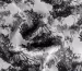 Креп шелковистый полевая композиция, серый с белым - фото 3 - интернет-магазин tkani-atlas.com.ua