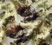 Креп шелковистый полевая композиция, оливковый с коричневым - фото 3 - интернет-магазин tkani-atlas.com.ua
