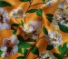 Штапель твил цветочная композиция, морковный - фото 3 - интернет-магазин tkani-atlas.com.ua