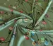 Шовк сатин квіткове плетіння, оливковий - фото 1 - інтернет-магазин tkani-atlas.com.ua
