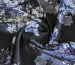 Шовк сатин квіткові сни, чорний - фото 1 - інтернет-магазин tkani-atlas.com.ua