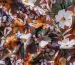 Штапель Бельмондо лилии, оранжевый на коричневом - фото 3 - интернет-магазин tkani-atlas.com.ua