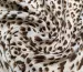 Армани диджтл гепард, коричневый на молочном - фото 2 - интернет-магазин tkani-atlas.com.ua