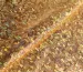 Трикотаж масло нарядное крупная голограмма, золотистый - фото 1 - интернет-магазин tkani-atlas.com.ua