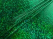 Трикотаж масло нарядное крупная голограмма, зеленый - интернет-магазин tkani-atlas.com.ua