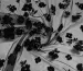 Сетка с флоком полевые цветы, черный - фото 2 - интернет-магазин tkani-atlas.com.ua