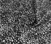 Штапель Бельмондо гепард, черный - фото 1 - интернет-магазин tkani-atlas.com.ua