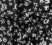 Штапель Бельмондо цветочная абстракция, черный - фото 3 - интернет-магазин tkani-atlas.com.ua