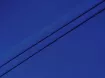 Костюмка Франт, яскравий електрик - інтернет-магазин tkani-atlas.com.ua
