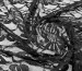 Гипюр стрейчевый цветочная сказка, черный - фото 3 - интернет-магазин tkani-atlas.com.ua