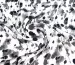 Американский креп рисунок брызги акварели, черный на молочном - фото 1 - интернет-магазин tkani-atlas.com.ua