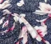 Вискозный трикотаж цветочная нежность, розовый на темно-синем - фото 2 - интернет-магазин tkani-atlas.com.ua