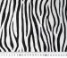 Шелк Армани зебра, черно-белый - фото 4 - интернет-магазин tkani-atlas.com.ua