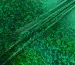 Трикотаж масло нарядное крупная голограмма, зеленый (отрез 1,8 м) - фото 1 - интернет-магазин tkani-atlas.com.ua