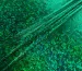 Трикотаж масло нарядное голограмма, зеленый - фото 2 - интернет-магазин tkani-atlas.com.ua