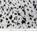 Софт принт гепард, черный на серо-бежевом - фото 4 - интернет-магазин tkani-atlas.com.ua