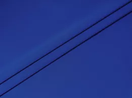 Костюмка Франт уцінка (текстильний недолік), яскравий електрик (відріз 1 м) - інтернет-магазин tkani-atlas.com.ua