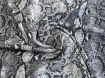 Вискоза шелк Бохо питон, серый с черным - интернет-магазин tkani-atlas.com.ua