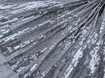 Паєтка на сітці мушля, срібло (відріз 1,3 м) - інтернет-магазин tkani-atlas.com.ua