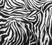 Муслін малюнок зебра, чорний з молочним - фото 2 - інтернет-магазин tkani-atlas.com.ua