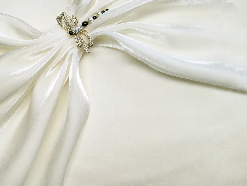 Органза шовковиста, кремовий - фото 1 - інтернет-магазин tkani-atlas.com.ua