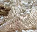 Пайетка на сетке ракушка, бежевый (отрез 2,2 м) - фото 2 - интернет-магазин tkani-atlas.com.ua