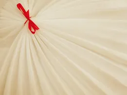 Фатин кристал, кремовый (отрез 1,6 м) - интернет-магазин tkani-atlas.com.ua